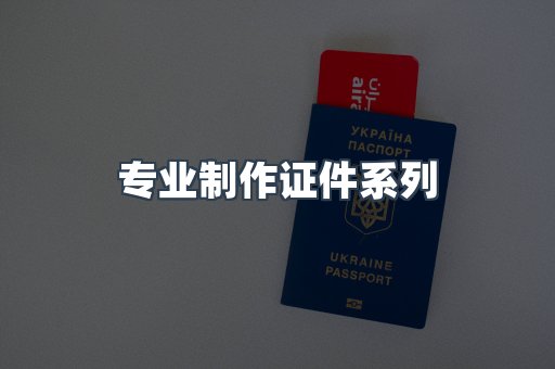 专业制作证件系列